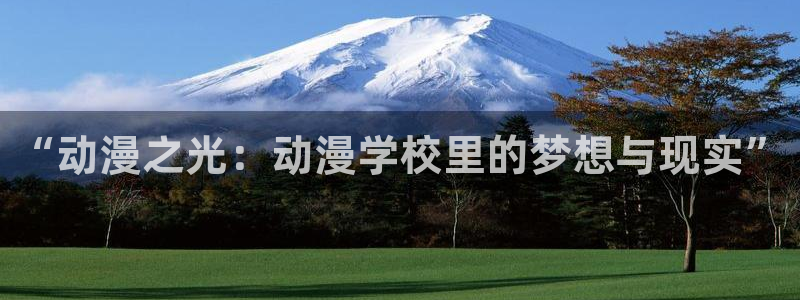 动漫omofun下载：“动漫之光：动漫学校里的梦想与现实”