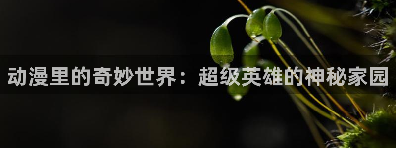 omofun动漫软件下载免费版：动漫里的奇妙世界：超级英雄的神秘家园