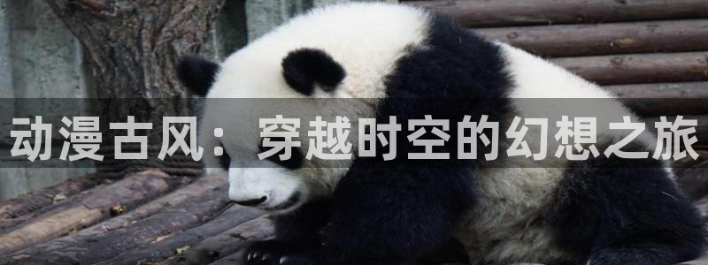 omofun动漫官方app下载：动漫古风：穿越时空的幻想之旅